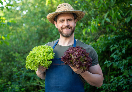 man greengrocer in straw hat with lettuce leaves. organic foodの写真素材