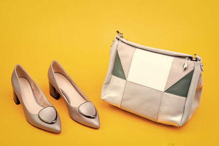 shopping concept. female leather stylish footwear. fashion accessory.の写真素材