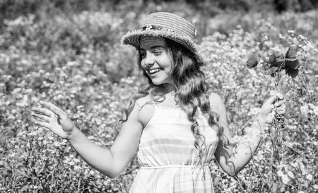 Happy small girl collecting wildflowers on sunny day nature backgroundの写真素材
