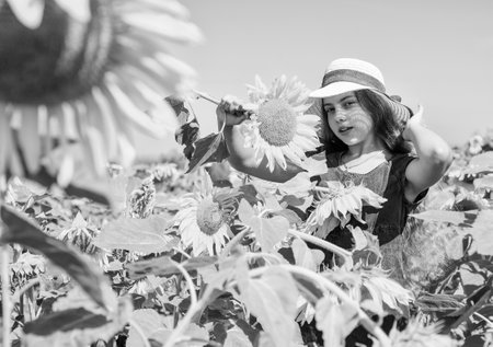 Good plant. childhood happiness. portrait of happy kid with beautiful sunflower. cheerful child in straw hat among yellow flowers. small girl in summer sunflower field. happy childrens dayの写真素材