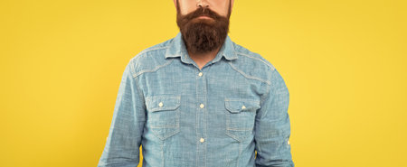 Bearded mustached man crop view in denim shirt yellow background, beardの写真素材