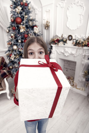 The morning before Xmas. Little girl. Child enjoy the holidayの写真素材
