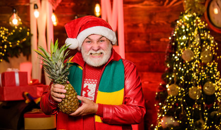 Man senior bearded grandpa hold pineapple christmas tree background.の写真素材