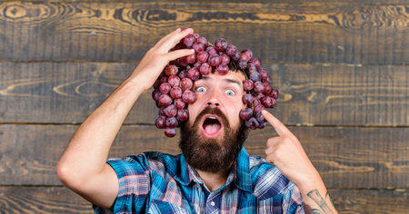 Fresh organic harvest. Grapes from own garden. Farming concept. Man hold grapes wooden background....