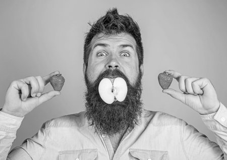 Fruit filling. Man handsome hipster long beard eat apple hold strawberry. Hipster surprised enjoy fruit filling. Man stuffed apple. Apple mouth bearded hipster holds strawberries in both handsの写真素材