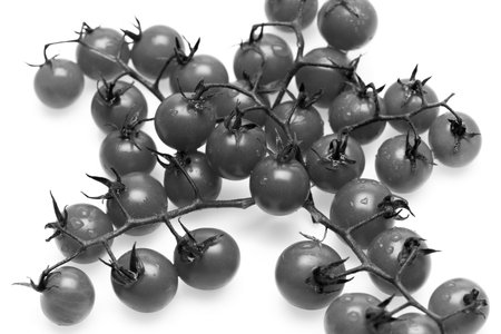 Vegetables and vegetarian diet concept. Bunch of cherry tomatoesの写真素材