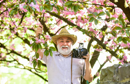 travel and walking in cherry park. hobby at retirement. tourism and holiday. traveler camera man under sakura bloom garden. travel concept. male photographer enjoy cherry blossom. Summer collectionの写真素材