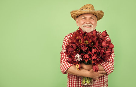 happy old retired man in straw hat hold spring tulip flowers on green background with copy spaceの写真素材