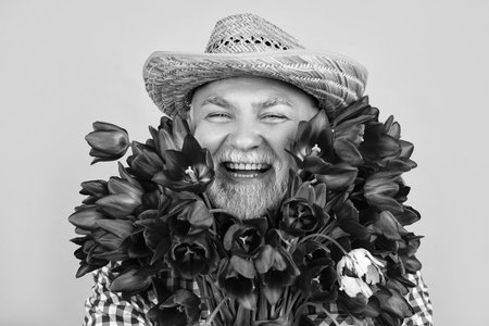 glad old retired man portrait in hat hold spring tulip flowers on green background