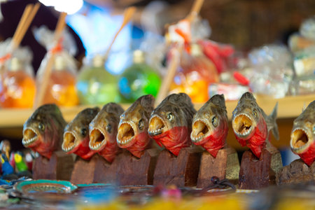 piranha fish souvenir. piranha fish souvenir in row. piranha fish souvenir with sharp teeth.の写真素材