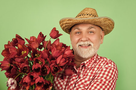 happy old retired man in hat hold spring tulip flowers on green backgroundの写真素材