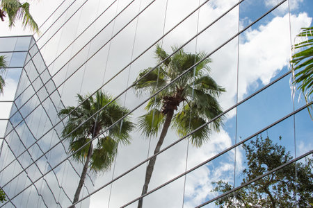 image of glassy building architecture. glassy building architecture. glassy building architectureの写真素材