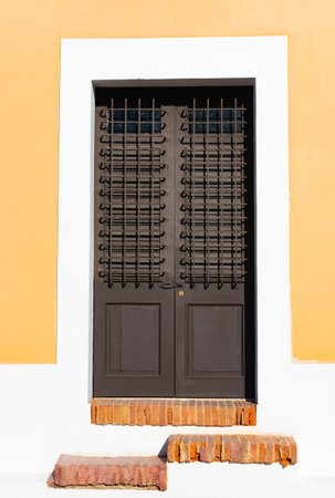 door entrance with shutters of house. door entrance outdoor. photo of door entrance.
