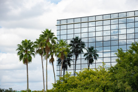 glassy building architecture. facade building architecture. exterior building architecture.の写真素材
