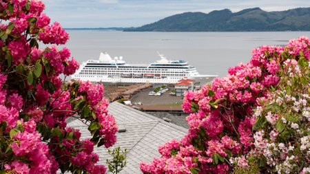 destination cruise travel with flowers. selective focus of destination cruise travel.の写真素材