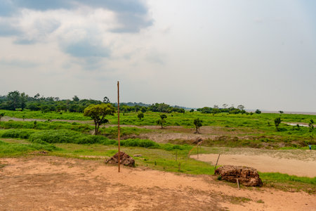 rural landscape in countryside. green rural landscape outdoor. rural landscape nature.の写真素材