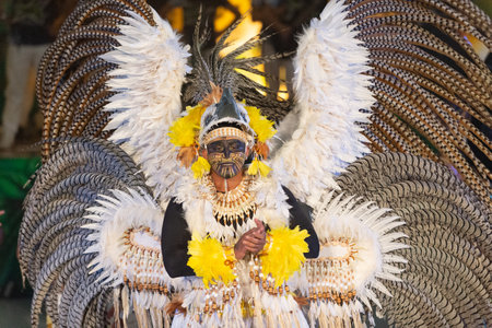Parintins, Brazil - December 06, 2015: samba brazilian carnival man dancerのeditorial素材