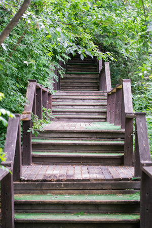 stairs way to future success. stairs way to future success grey color. stairs way to future success.