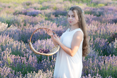 Portrait of a beautiful young girl with dress in a lavender field. Girl enjoying blooming lavender field. Beautiful girl in lavender flowers field. teen girl holding a lavender bouquet of flowersの写真素材