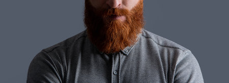 Portrait of Irish man crop view with red beard. Unshaven face with stylish beard and mustacheの写真素材