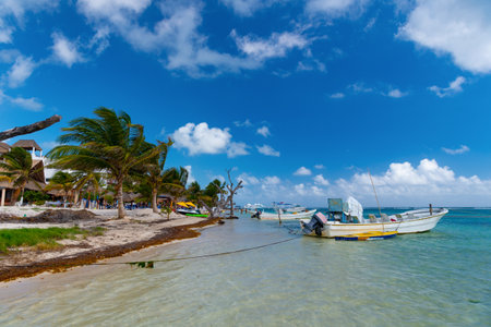 Costa Maya, Mexico - February 01, 2016: boat at summer beach with palm treesのeditorial素材