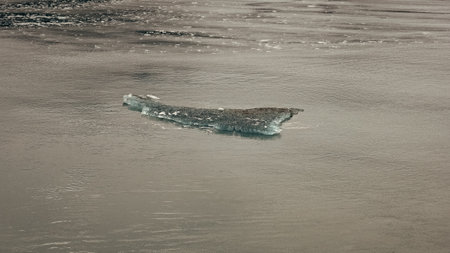 arctic glacier in water. nature of arctic glacier. photo of arctic glacier. arctic glacier