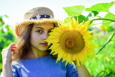 Beautiful face little girl playing sunflowers nature background, cosmetics concept.の写真素材