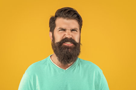 angry bearded man isolated on yellow. bearded man in studio. bearded man on background. photo of bearded man with moustache.の写真素材