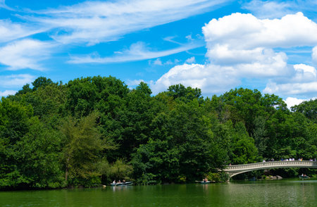 New York, USA - July 22, 2023: central park in new york city with beautiful landscape of pond and building of manhattanのeditorial素材