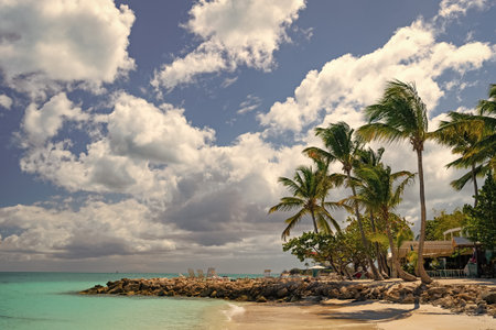 summer vacation at the beach with palm trees. summer beach vacation at seascape.