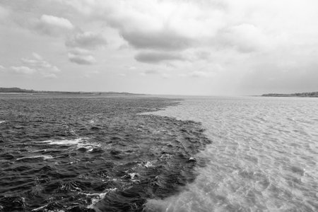 nature waterscape of amazon and rio negro rivers, brazil. photo of nature waterscape meeting waters.の写真素材