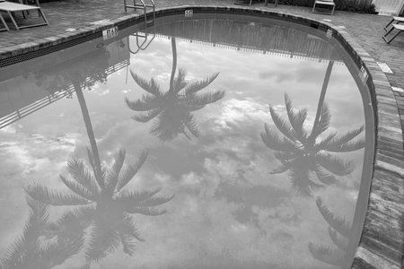 summer vacation pool with reflection. summer vacation pool with palm trees.