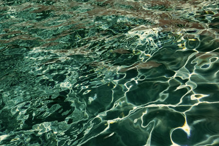 defocused pool water summertime background. defocused pool water backgroundの写真素材
