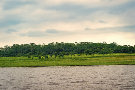 riverside nature landscape with river. riverside nature landscape with green grass.
