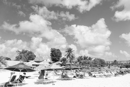 Bridgetown, Barbados - December 12, 2015: sunbed with people on beach at summer vacationのeditorial素材