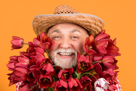 cheerful old retired man in hat hold tulip flower bouquet on yellow background.の写真素材