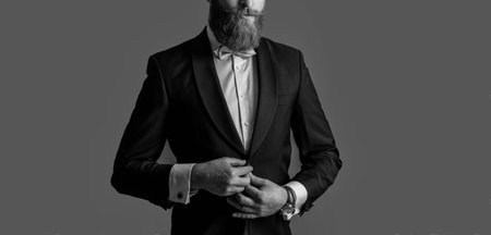 cropped view of bearded man in tux isolated on grey background. man studio shot in tux. man wearing elegant tux. tux fashion.の写真素材