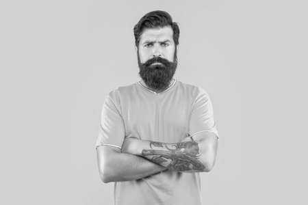 serious bearded man isolated on yellow. bearded man in studio. bearded man on background. photo of bearded man with moustache.の写真素材