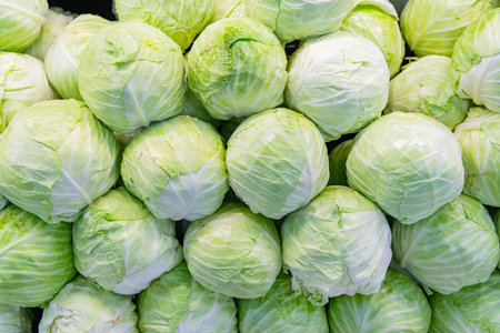 Eco vegetable. Green cabbage background. Green grocery vegetable in food market. Organic food....