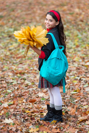 Autumn fall leaves. Knowledge and education. Knowledge day. School education. Autumn girl in uniform hold fall leaves outdoor. Stylish teen girl at school break. Back to school. Happy childhood.の写真素材