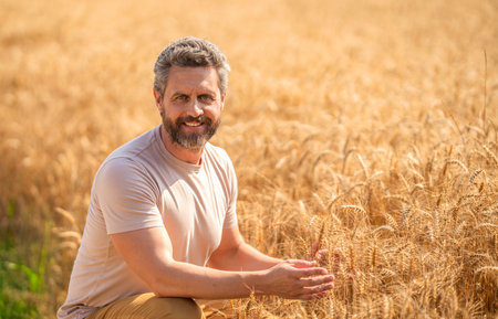 Hispanic man farmer check agriculture field harvest. Man agronomist farmer. Crop protection. Agriculture farm. Farm man at wheat field. Crop harvest and farming. Farmer in field. Working agricultureの写真素材