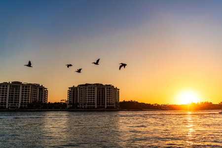 Panorama sunset of Fisher island. Miami beach sunrise with pelican in sky. Miami panorama. Panoramic Fisher island. Pelican flying in sky. Fisher island in sunset. Pelican flying during migrationの写真素材