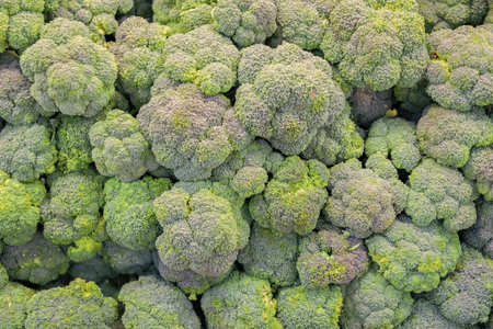 Organic vegetable superfood broccoli. Background of organic broccoli. Eco vegetable. Superfood. Broccoli superfood background. Green grocery vegetable in food market. Organic foodの写真素材
