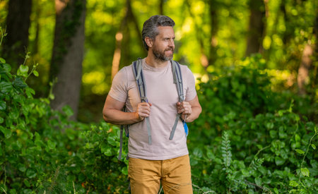 Hispanic man in forest. Hiker with backpack hiking in forest. Male hiker walking in forest. Man...