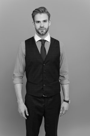 Successful businessman in businesslike suit looking stylish isolated on greyの写真素材