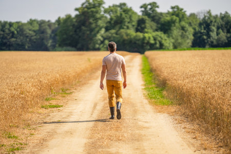 Crop harvest and farming. Farmer in field. Hispanic man farmer check agriculture field harvest. Man agronomist farmer. Crop protection. Agriculture farm. Farm man at wheat field. Rural farming viewの写真素材