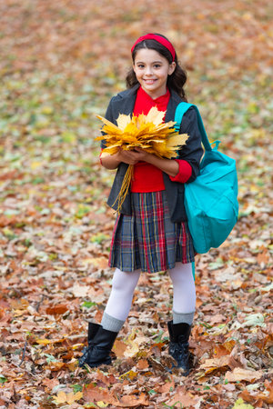 Knowledge day. School education. Autumn girl in uniform hold fall leaves outdoor. Stylish teen girl at school break. Back to school. Autumn fall leaves. Knowledge and education. Fall styleの写真素材