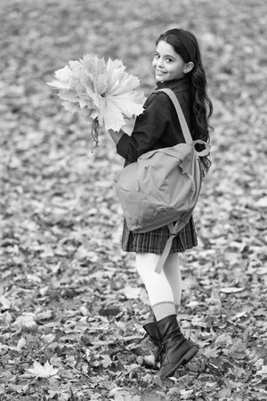 Knowledge and education. Knowledge day. School education. Autumn girl in uniform hold fall leaves outdoor. Stylish teen girl at school break. Back to school. Autumn fall leaves. Maple leafの写真素材