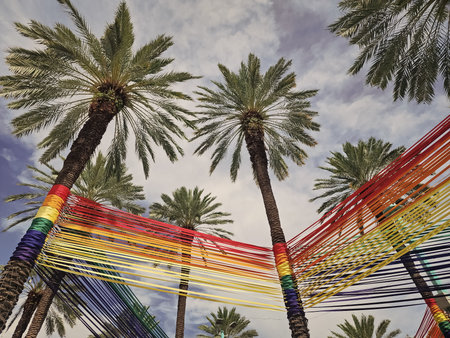 Pride installation in Miami. Palm tree. Summer vacation in South beach, Florida. Palm tree of Miami....