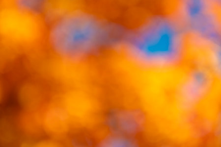 Orange autumn background with nobody. Defocused blur fall color. Autumnal season. Blurred autumn background. Defocused fall color. Blur backdropの写真素材
